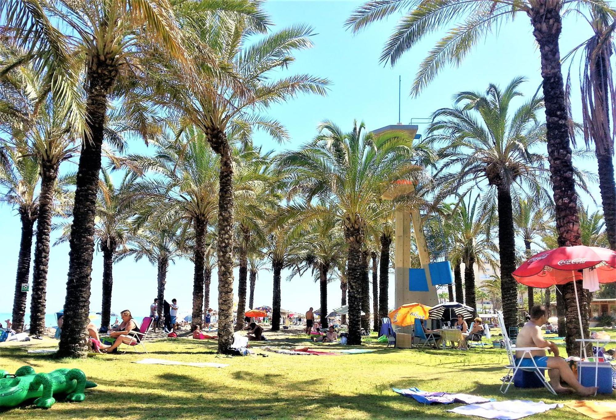 トレモリノスCarihuela Playa - 2ª Linea De Playa - Piscina - Parking Gratisアパートメント エクステリア 写真